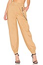 view 1 of 4 PANTALON COBRA in Tan