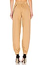 view 3 of 4 PANTALON COBRA in Tan