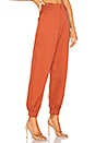 view 2 of 4 Cobain Pant in Rust