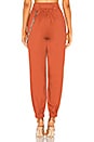 view 3 of 4 Cobain Pant in Rust