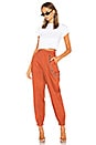view 4 of 4 Cobain Pant in Rust
