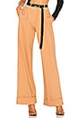 view 1 of 4 Mira Pant in Tan