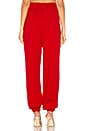 view 3 of 5 Kasen Pant in Red