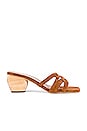 view 1 of 5 MULES KANE in Chestnut