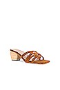 view 2 of 5 MULES KANE in Chestnut