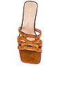 view 4 of 5 MULES KANE in Chestnut