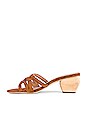 view 5 of 5 MULES KANE in Chestnut