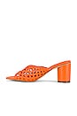 view 5 of 5 CASANDRA 뮬 in Salmon