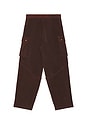 view 5 of 5 Blaze Cargo Pants in Dark Scarlet