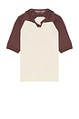 view 4 of 4 Raglan Polo Shirt in Plum & White