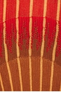 view 4 of 4 VESTIDO GRADFLARE in Pale Rose Ember