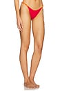 view 2 of 4 Braidchain Bikini Bottom in Cherry Citrus