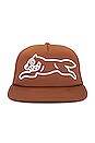 view 1 of 2 Cream Trucker Hat in Bison
