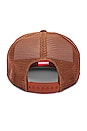view 2 of 2 Cream Trucker Hat in Bison