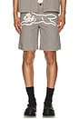 view 4 of 5 Pin Shorts in Hickory Stripe