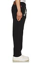 view 4 of 4 Dogtown Black Pants in Black