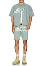 view 4 of 4 Blue Dog Short Sleeve Woven Shirt in Blueberry Haze