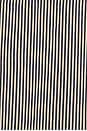view 3 of 5 Pin Short Sleeve Woven Shirt in Hickory Stripe