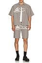 view 5 of 5 Pin Short Sleeve Woven Shirt in Hickory Stripe