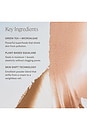 view 7 of 10 BRONZER EM CREME SUNSHIFT CREAM BRONZER in Ray