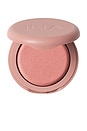 view 1 of 11 Soft Focus Blurring Blush in Flutter
