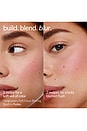 view 4 of 11 Soft Focus Blurring Blush in Wonder