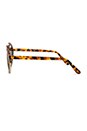 view 3 of 3 GAFAS DE SOL MILAN III in Light Tortoise