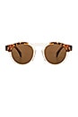 view 1 of 3 Leonard Sunglasses in Split Amber Tortoise Champagne with Brown Lenses