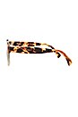 view 3 of 3 Leonard Sunglasses in Split Amber Tortoise Champagne with Brown Lenses