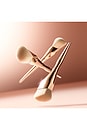 view 2 of 4 Complexion Brush in 