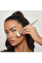 view 3 of 4 Complexion Brush in 