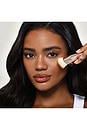 view 4 of 4 Complexion Brush in 