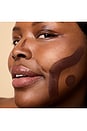view 4 of 8 Shape & Shade Sculpting Stick in Frame