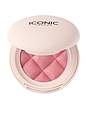 view 1 of 9 COLORETE SOFT TOUCH BLUSH in Shady Lady