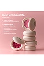 view 4 of 9 COLORETE SOFT TOUCH BLUSH in Shady Lady