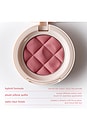 view 5 of 9 COLORETE SOFT TOUCH BLUSH in Shady Lady
