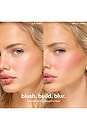 view 6 of 9 COLORETE SOFT TOUCH BLUSH in Shady Lady