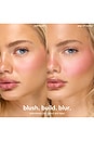 view 6 of 9 COLORETE SOFT TOUCH BLUSH in Fridays