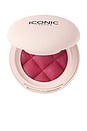 view 1 of 9 SOFT TOUCH BLUSH ブラシ in Grape Juice