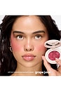 view 2 of 9 SOFT TOUCH BLUSH ブラシ in Grape Juice