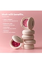 view 4 of 9 SOFT TOUCH BLUSH ブラシ in Grape Juice