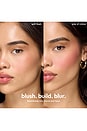 view 6 of 9 SOFT TOUCH BLUSH ブラシ in Grape Juice