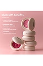 view 4 of 9 Soft Touch Blush in Teddy Bear