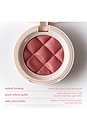 view 5 of 9 Soft Touch Blush in Teddy Bear