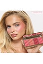 view 2 of 8 PALETTE DE BLUSH SOFT TOUCH BLUSH PALETTE in 