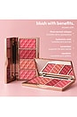 view 4 of 8 PALETTE DE BLUSH SOFT TOUCH BLUSH PALETTE in 