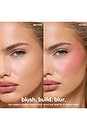 view 6 of 8 PALETTE DE BLUSH SOFT TOUCH BLUSH PALETTE in 