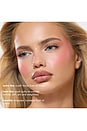 view 9 of 8 PALETTE DE BLUSH SOFT TOUCH BLUSH PALETTE in 