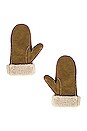 view 2 of 2 Mulfi Gloves in Light Khaki
