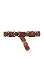 view 2 of 3 Lota Belt in Rust